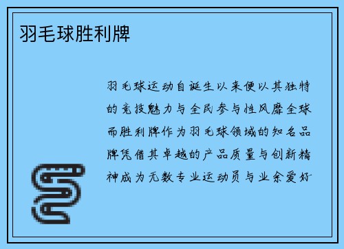 羽毛球胜利牌